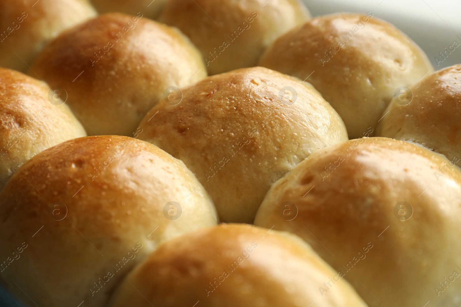 Photo of Closeup view of many delicious dough balls