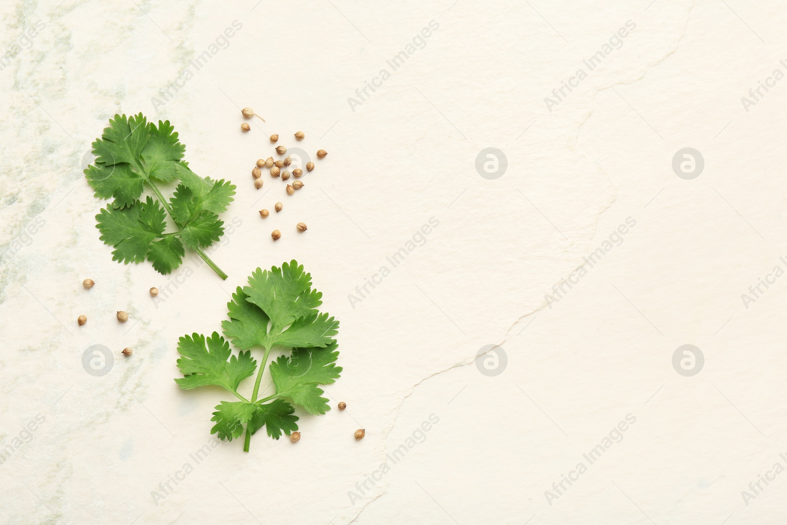Photo of Fresh coriander leaves and dried seeds on light textured table, flat lay. Space for text
