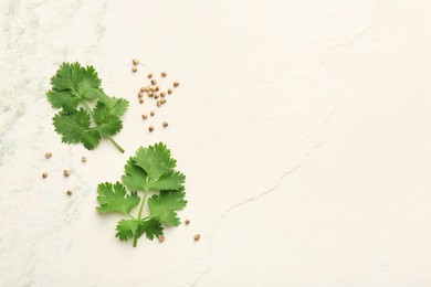 Fresh coriander leaves and dried seeds on light textured table, flat lay. Space for text