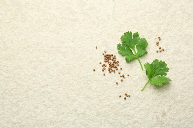 Photo of Fresh coriander leaves and dried seeds on light textured table, flat lay. Space for text
