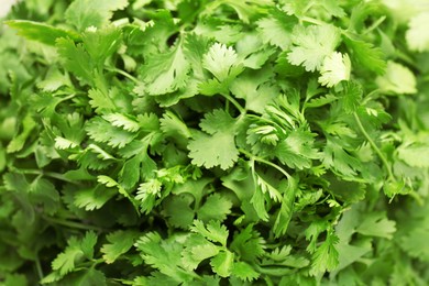 Photo of Fresh green coriander leaves as background, top view