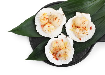 Raw scallops with spices, lemon zest and shells isolated on white, top view