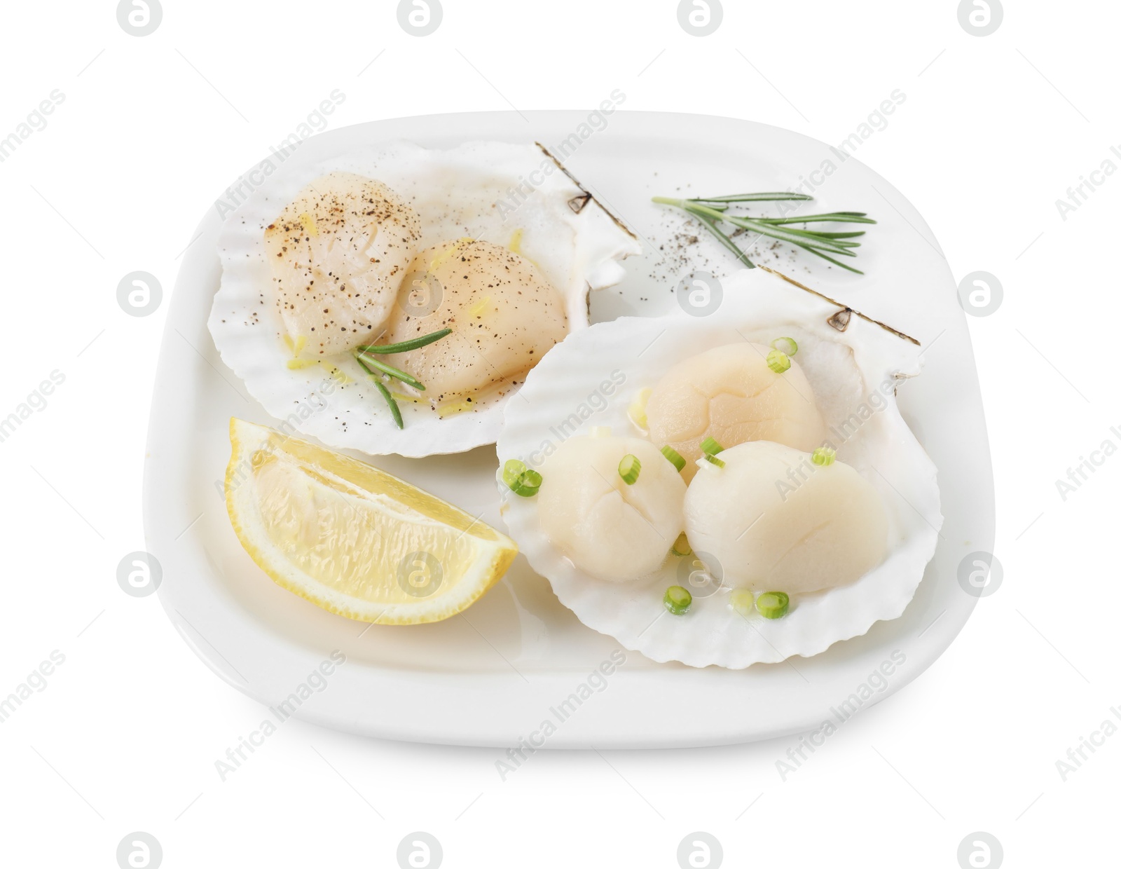 Photo of Raw scallops with green onion, rosemary, lemon and shells isolated on white