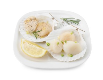 Raw scallops with green onion, rosemary, lemon and shells isolated on white