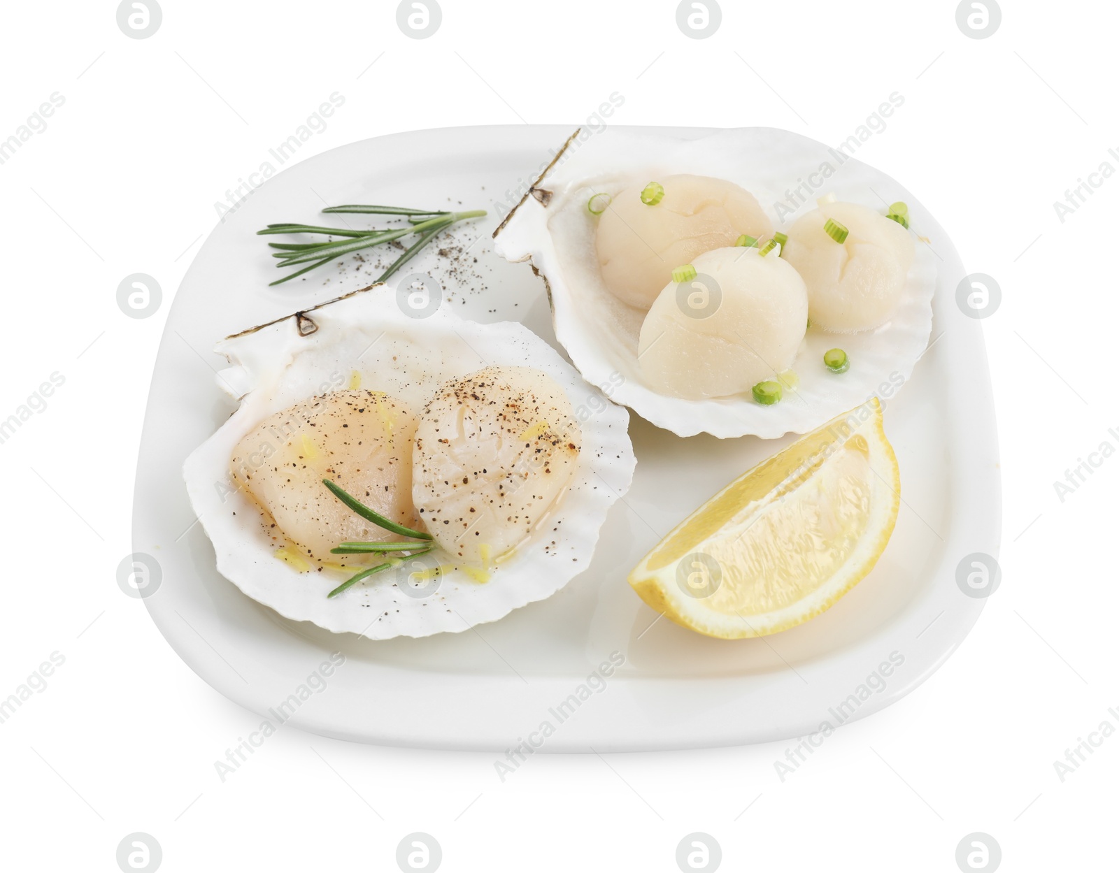 Photo of Raw scallops with green onion, rosemary, lemon and shells isolated on white
