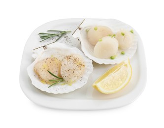 Raw scallops with green onion, rosemary, lemon and shells isolated on white