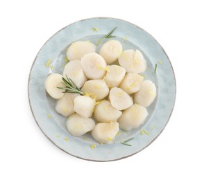 Raw scallops with lemon zest and rosemary isolated on white, top view