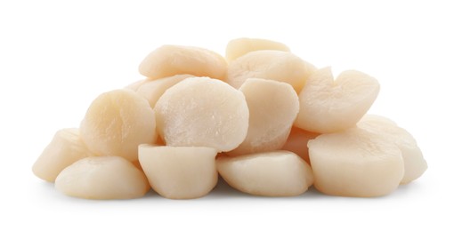 Pile of fresh raw scallops isolated on white