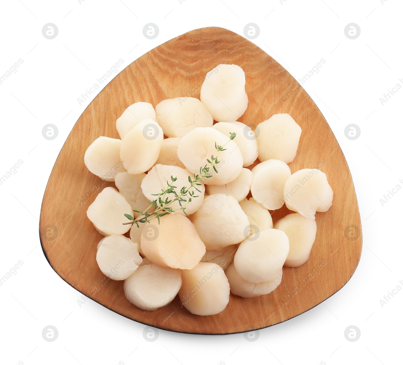 Photo of Fresh raw scallops and thyme isolated on white, top view