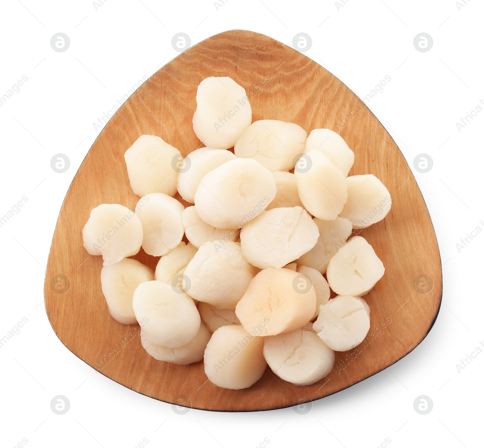 Photo of Fresh raw scallops isolated on white, top view