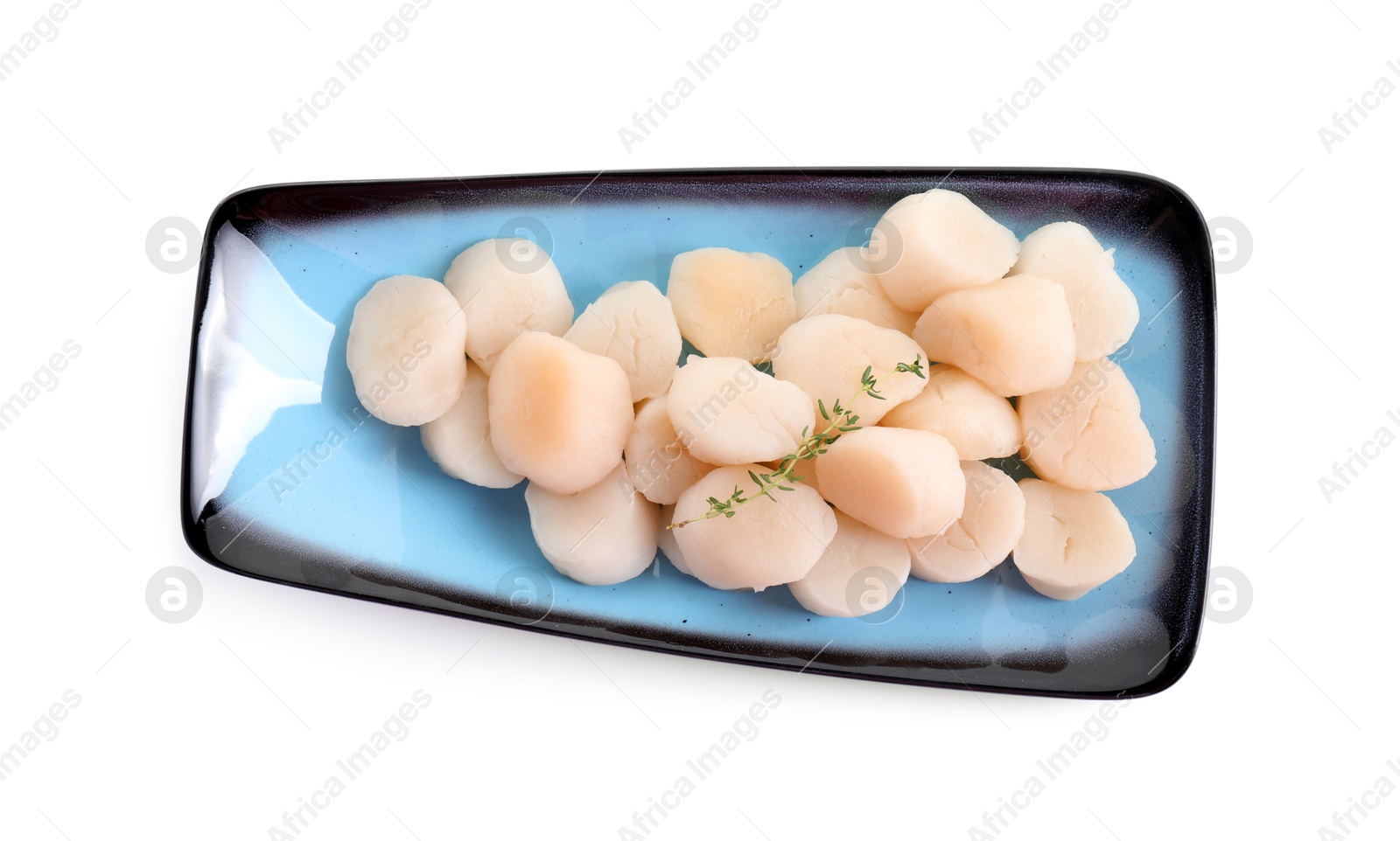 Photo of Fresh raw scallops and thyme isolated on white, top view