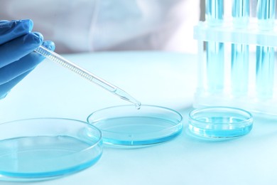 Doctor dripping liquid from pipette into petri dish at light table, closeup. Laboratory analysis