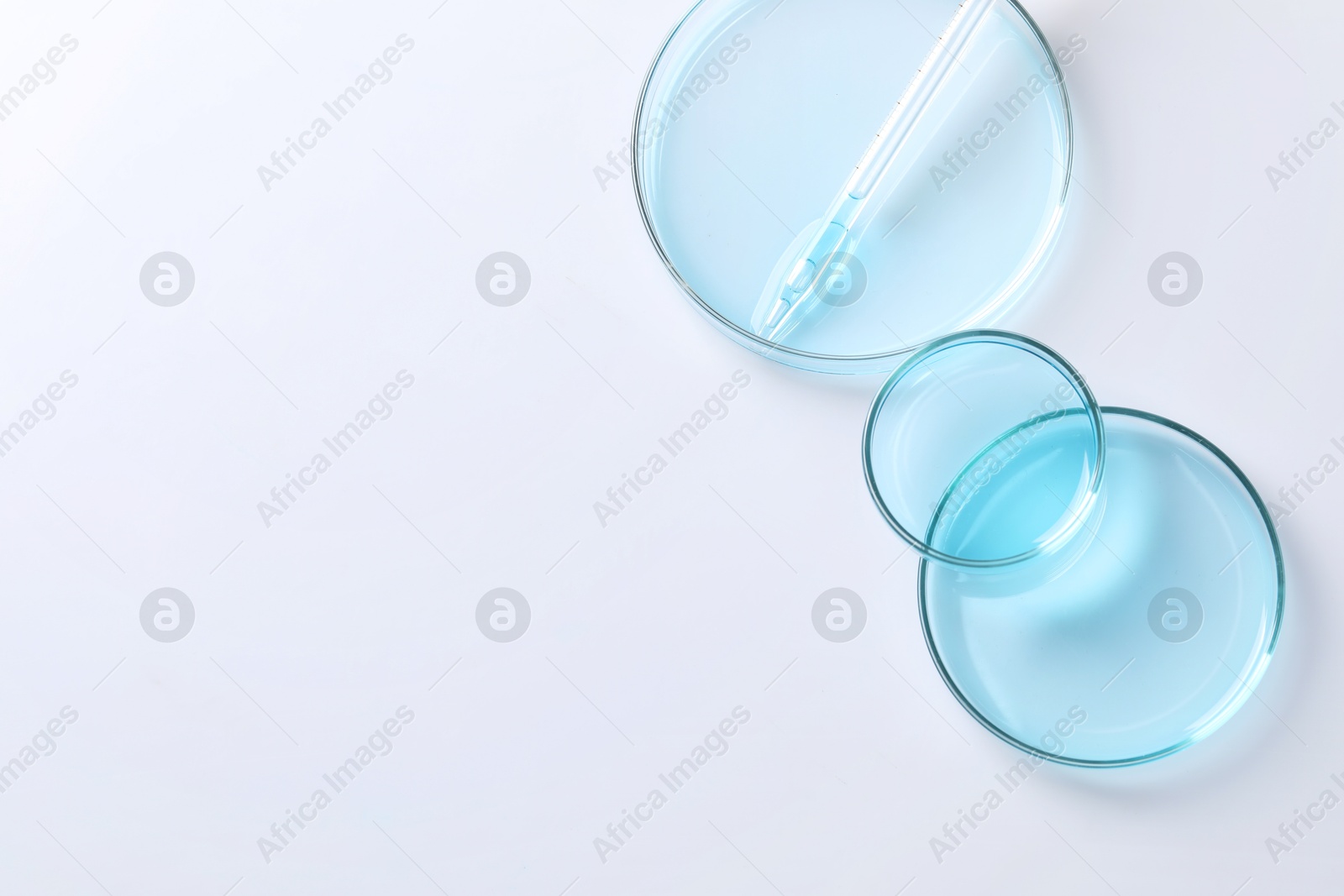 Photo of Pipette and petri dishes on white table, flat lay. Space for text