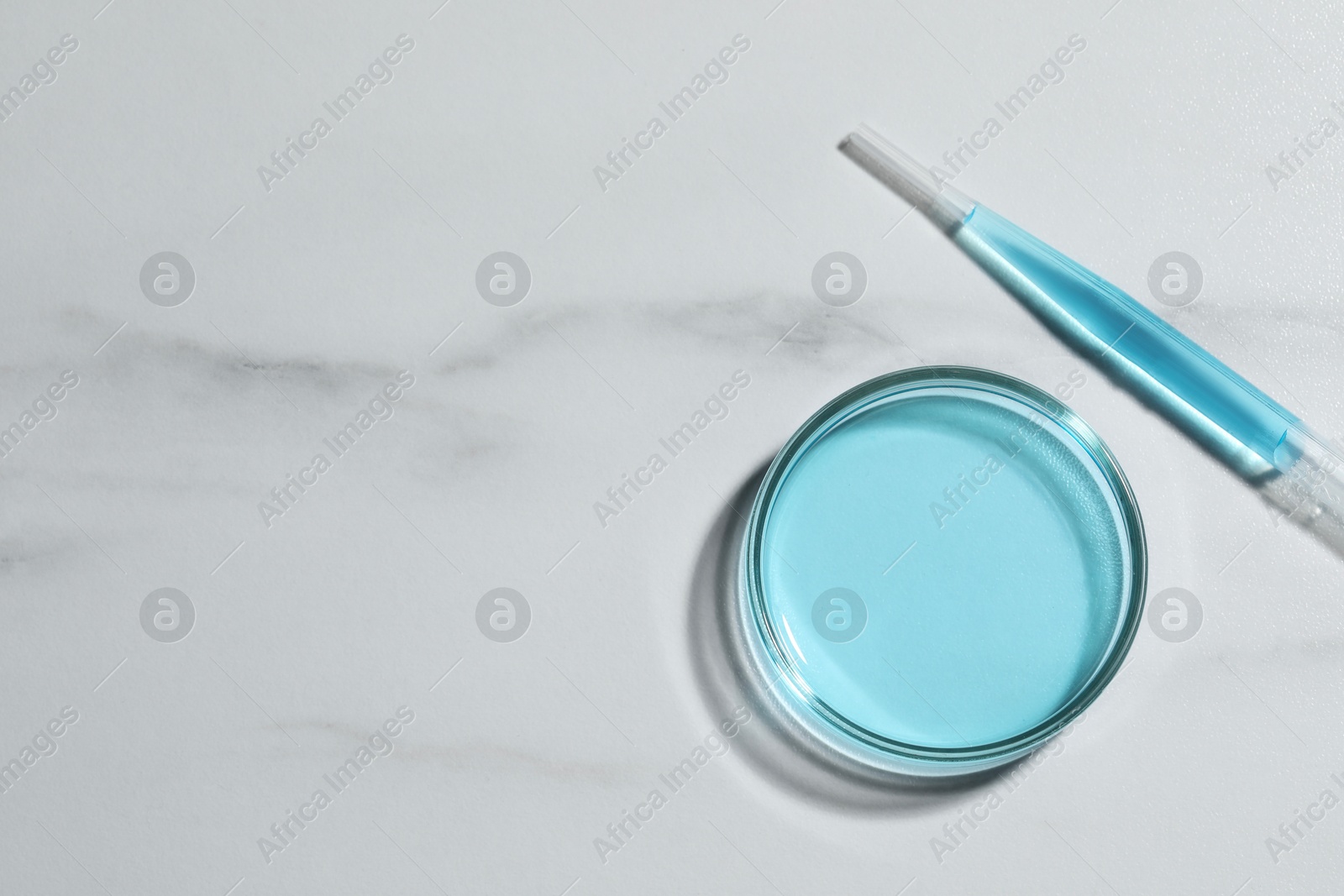 Photo of Pipette and petri dish with liquid on white marble table, flat lay. Space for text