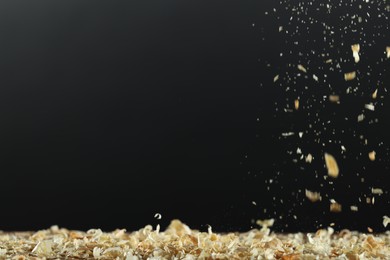 Photo of Dry natural sawdust falling on black background. Space for text