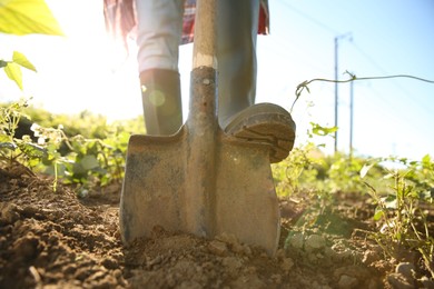 Farmer digging soil with shovel on sunny day, closeup