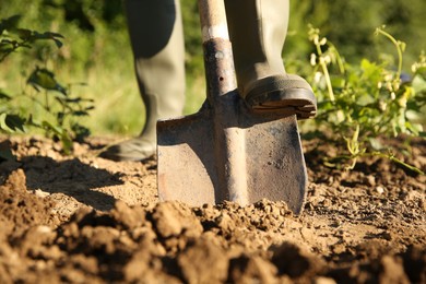 Photo of Farmer digging soil with shovel on sunny day, closeup