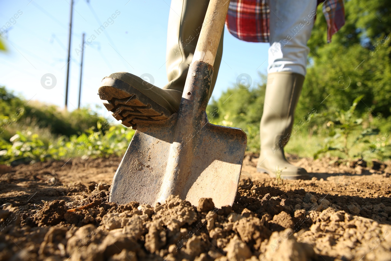 Photo of Farmer digging soil with shovel on sunny day, closeup