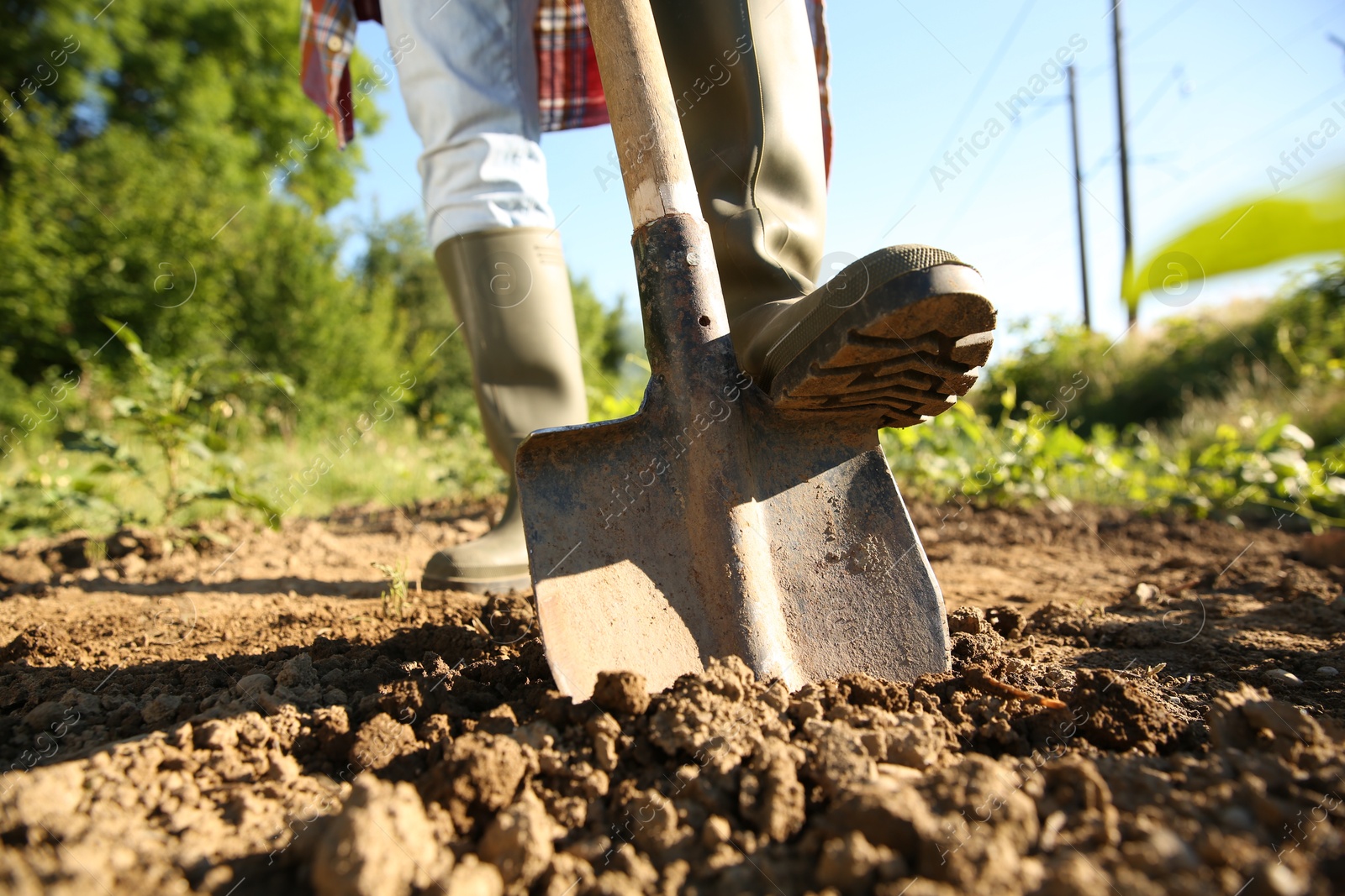 Photo of Farmer digging soil with shovel on sunny day, closeup