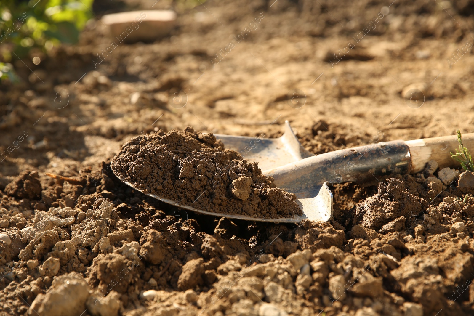 Photo of One shovel with soil on ground on sunny day. Gardening season