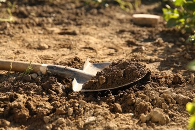 Photo of One shovel with soil on ground on sunny day. Gardening season