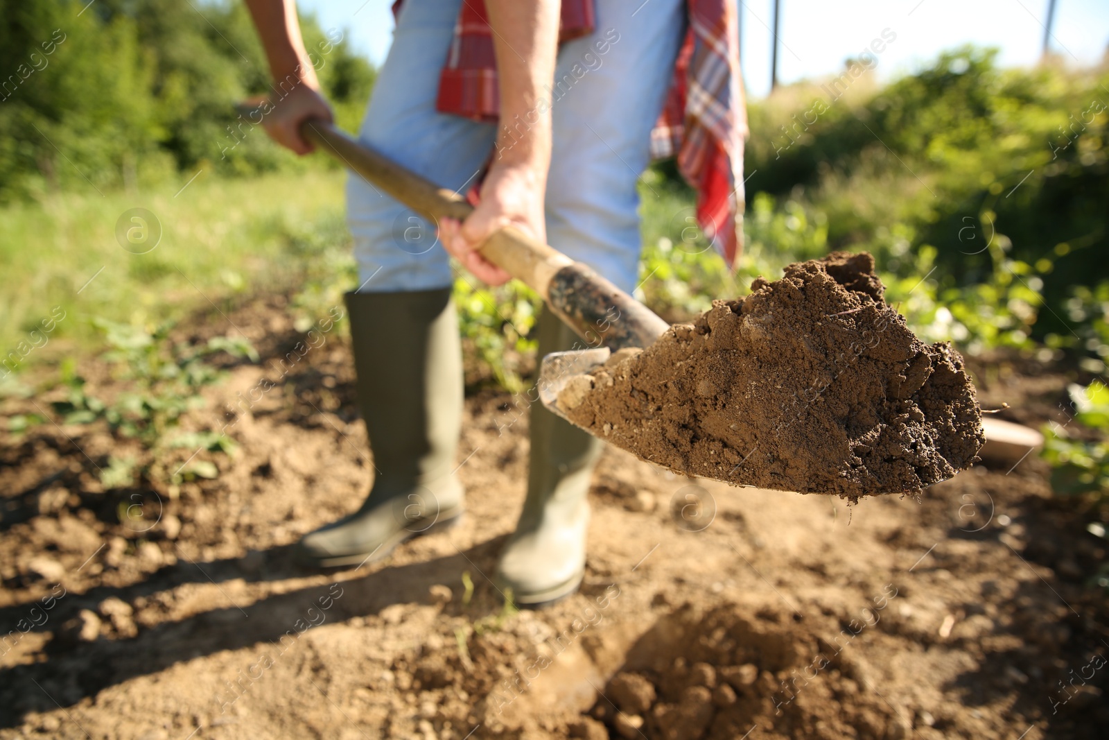 Photo of Farmer digging soil with shovel on sunny day, closeup