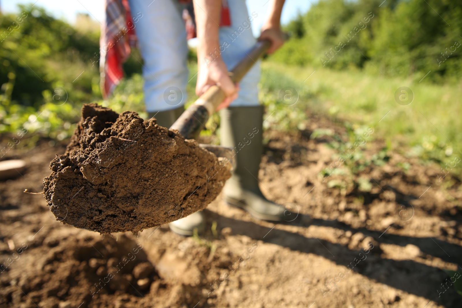 Photo of Farmer digging soil with shovel on sunny day, closeup