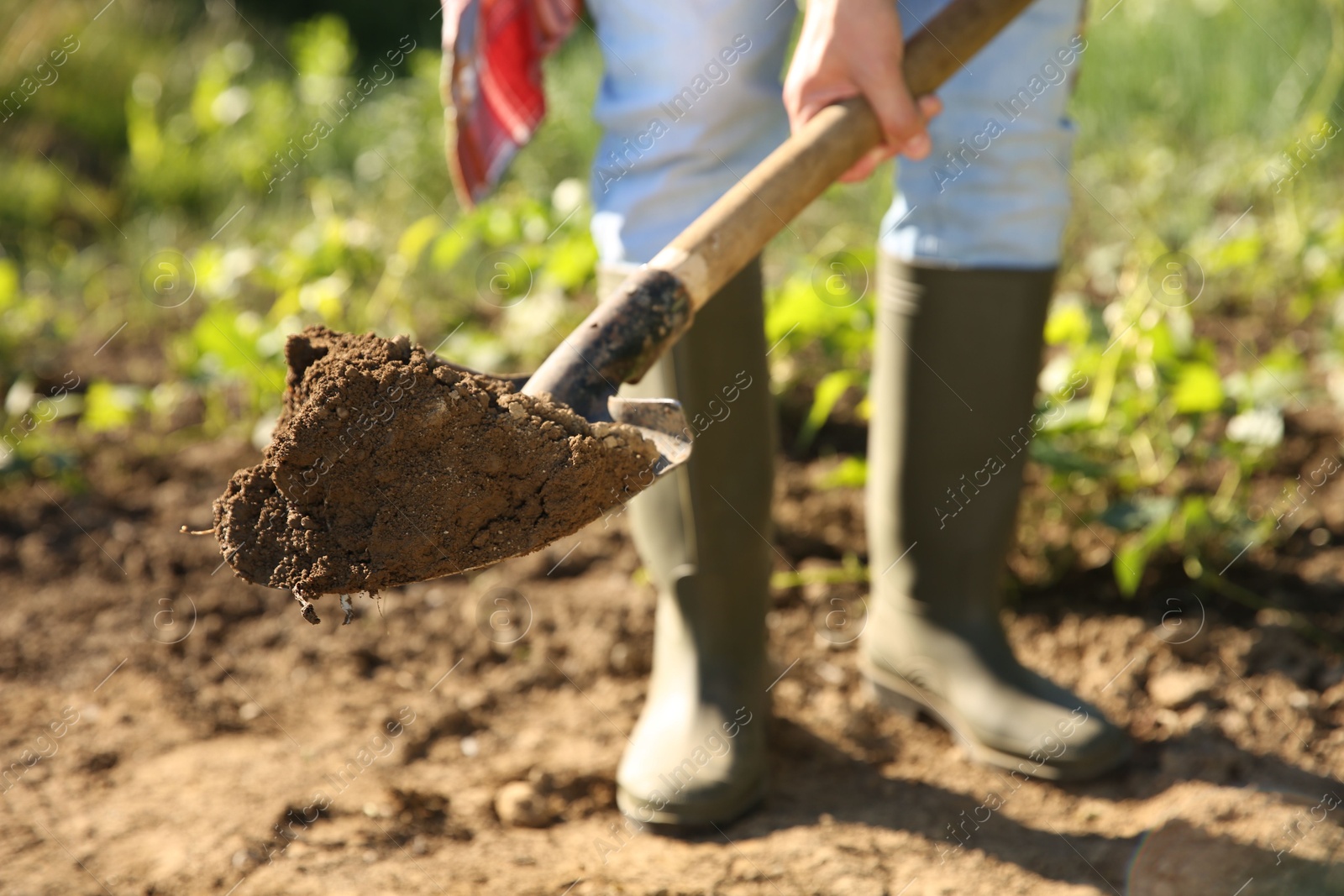 Photo of Farmer digging soil with shovel on sunny day, closeup