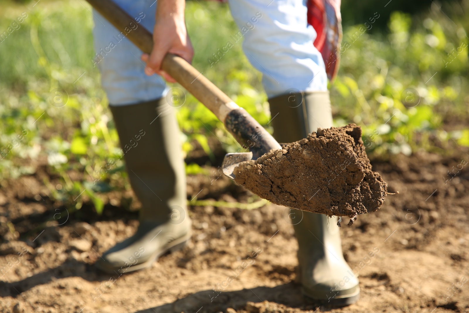 Photo of Farmer digging soil with shovel on sunny day, closeup