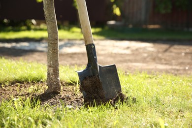 Photo of One shovel sticking out of ground on sunny day. Space for text