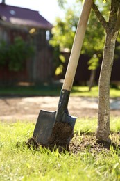 Photo of One shovel and tree on sunny day. Gardening season