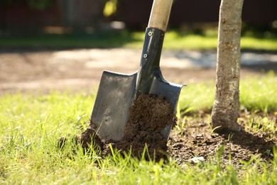 One shovel sticking out of ground on sunny day, closeup. Space for text