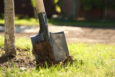 Photo of One shovel sticking out of ground on sunny day, closeup. Space for text