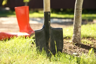 Photo of One shovel sticking out of ground on sunny day. Gardening season