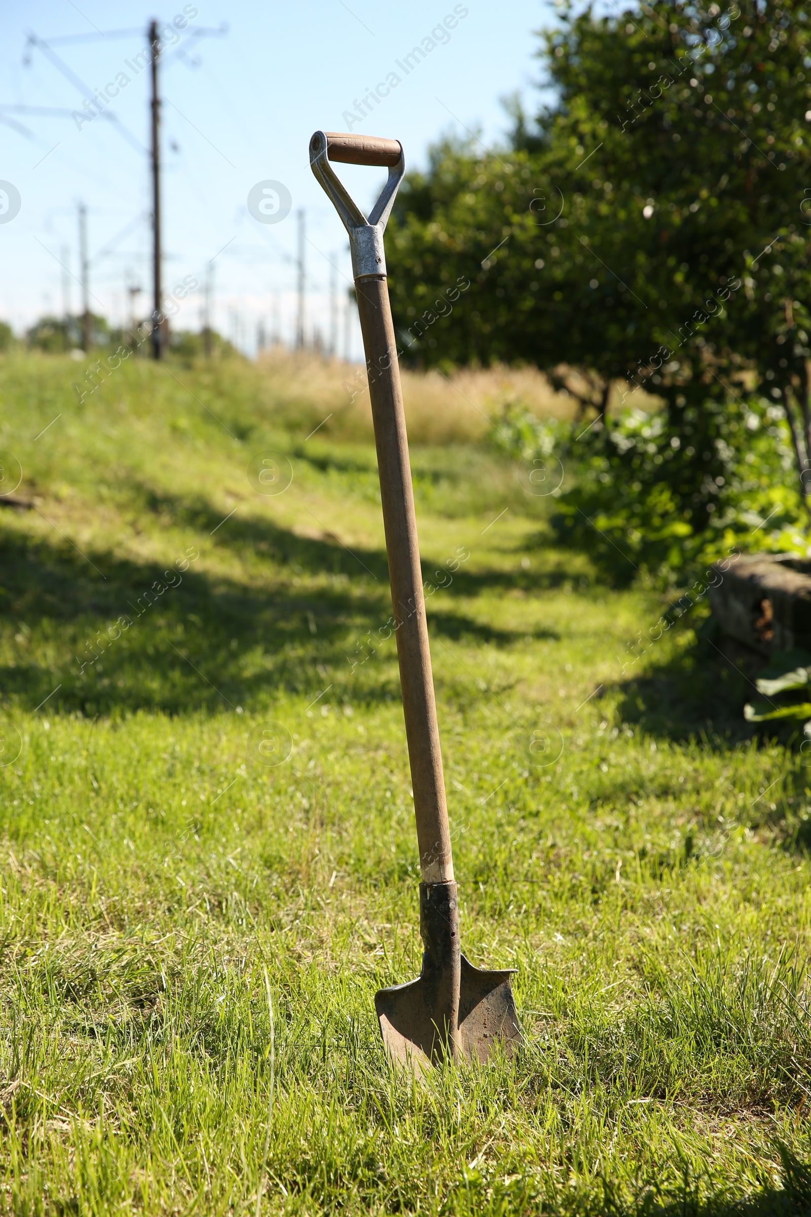 Photo of One shovel sticking out of ground on sunny day. Gardening season