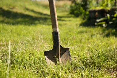 Photo of One shovel sticking out of ground on sunny day. Gardening season