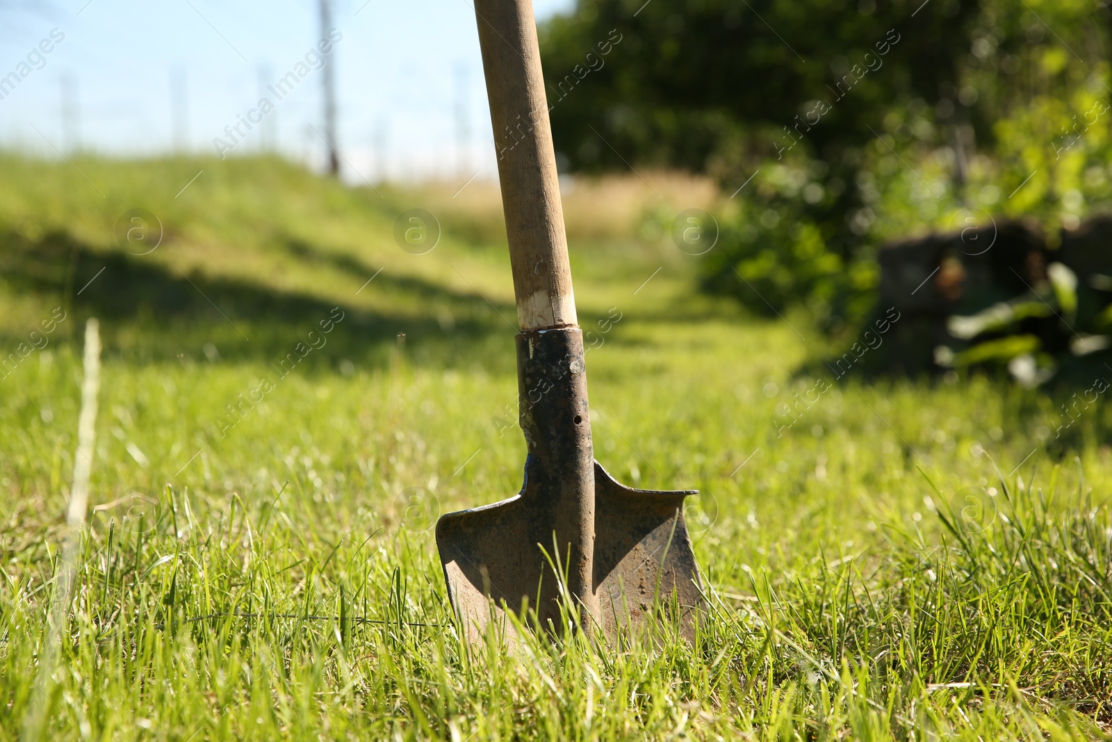 Photo of One shovel sticking out of ground on sunny day. Gardening season