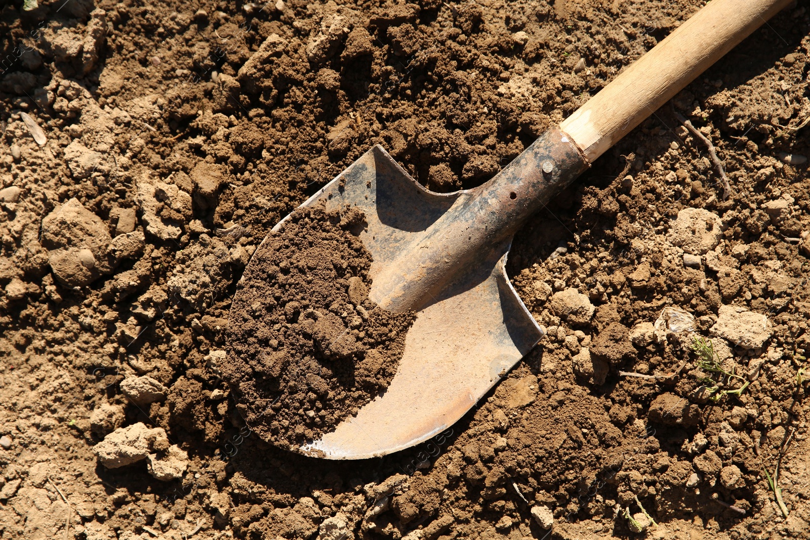 Photo of One shovel with soil on ground on sunny day, top view. Gardening season