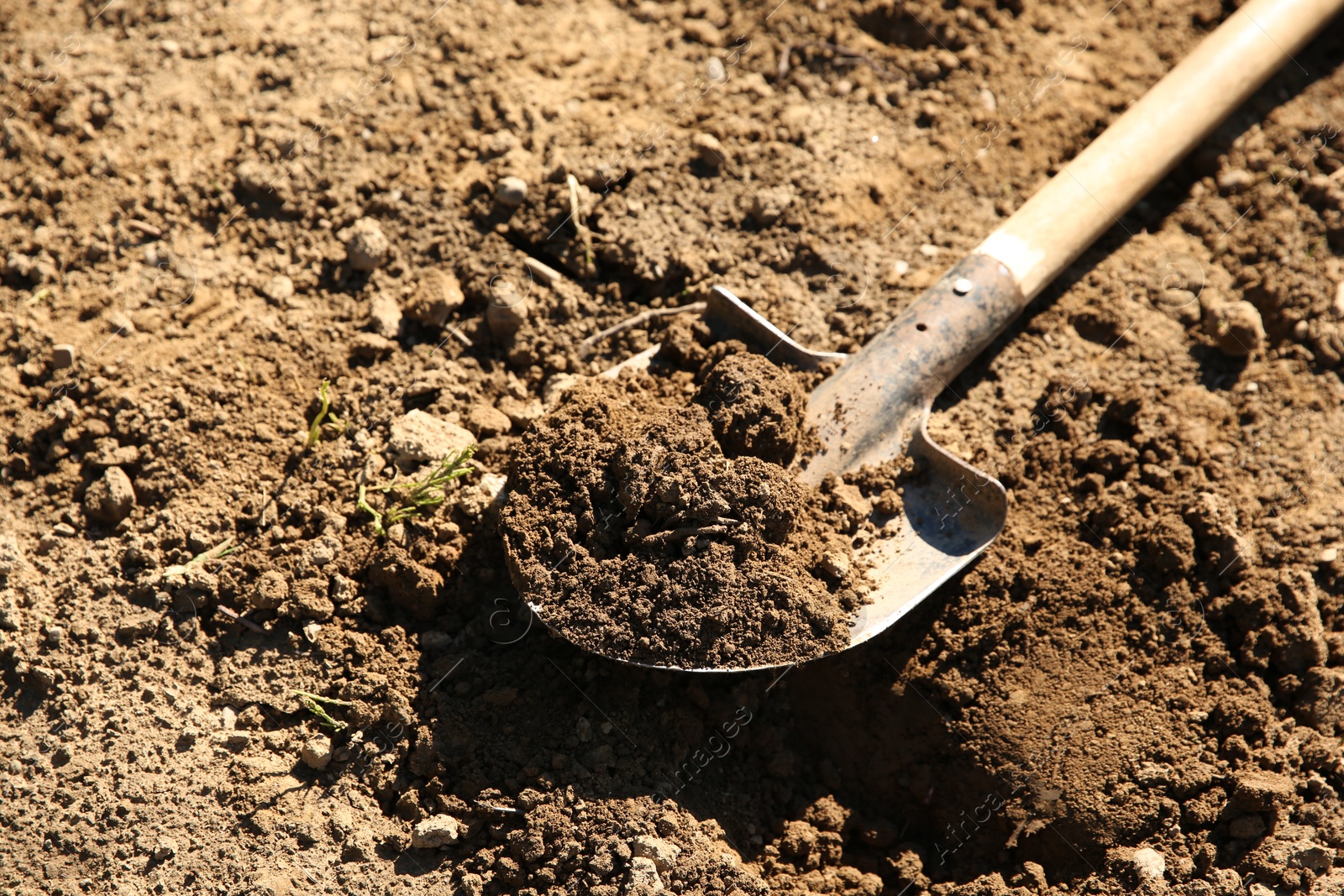 Photo of One shovel with soil on ground on sunny day. Gardening season