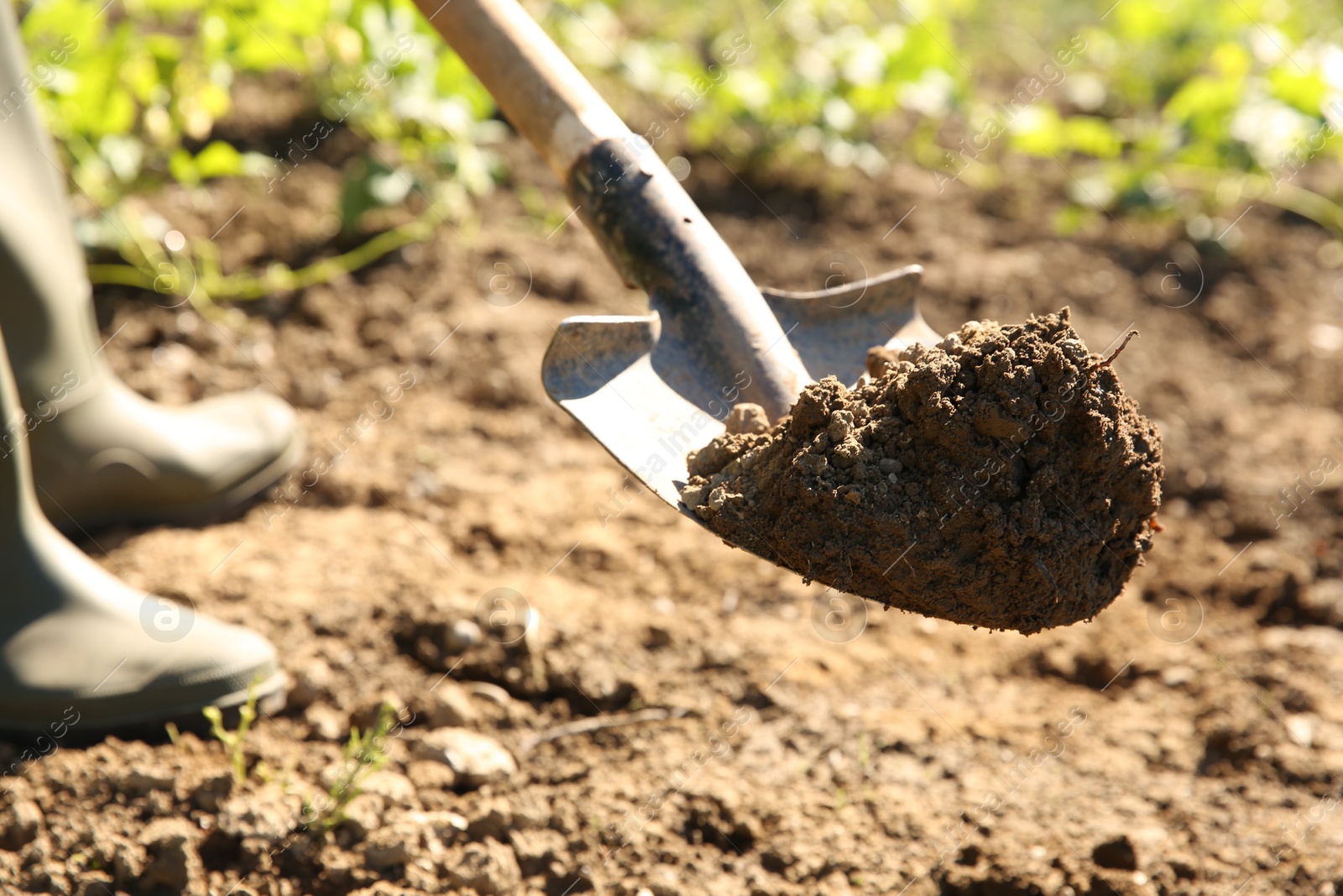 Photo of Farmer digging soil with shovel on sunny day, closeup