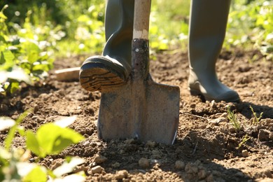 Farmer digging soil with shovel on sunny day, closeup