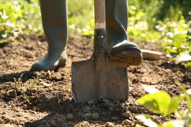 Farmer digging soil with shovel on sunny day, closeup