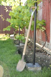 One rusty shovel in garden on sunny day