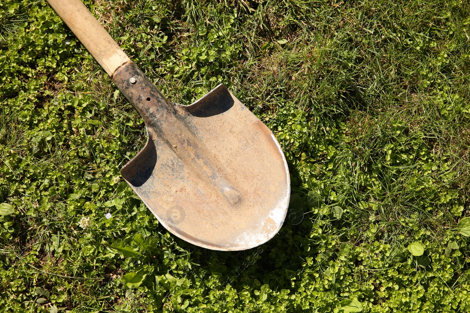 Photo of One rusty shovel on green grass, top view. Gardening season