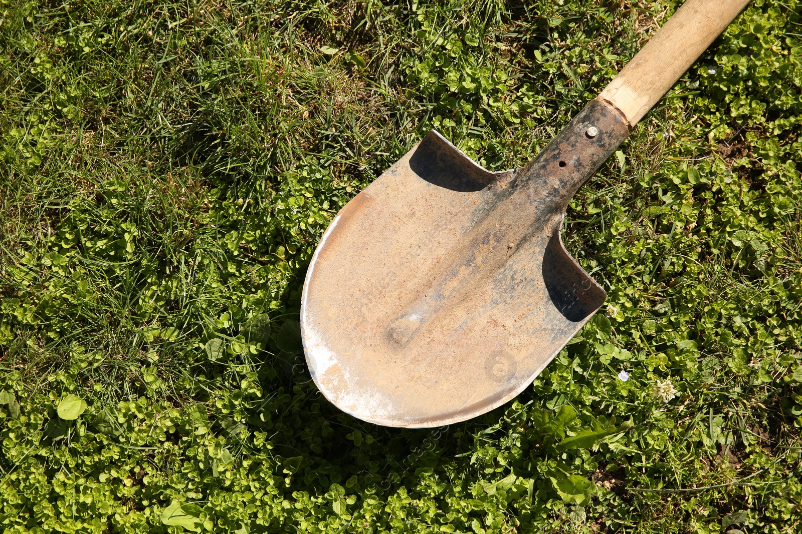 Photo of One rusty shovel on green grass, top view. Gardening season