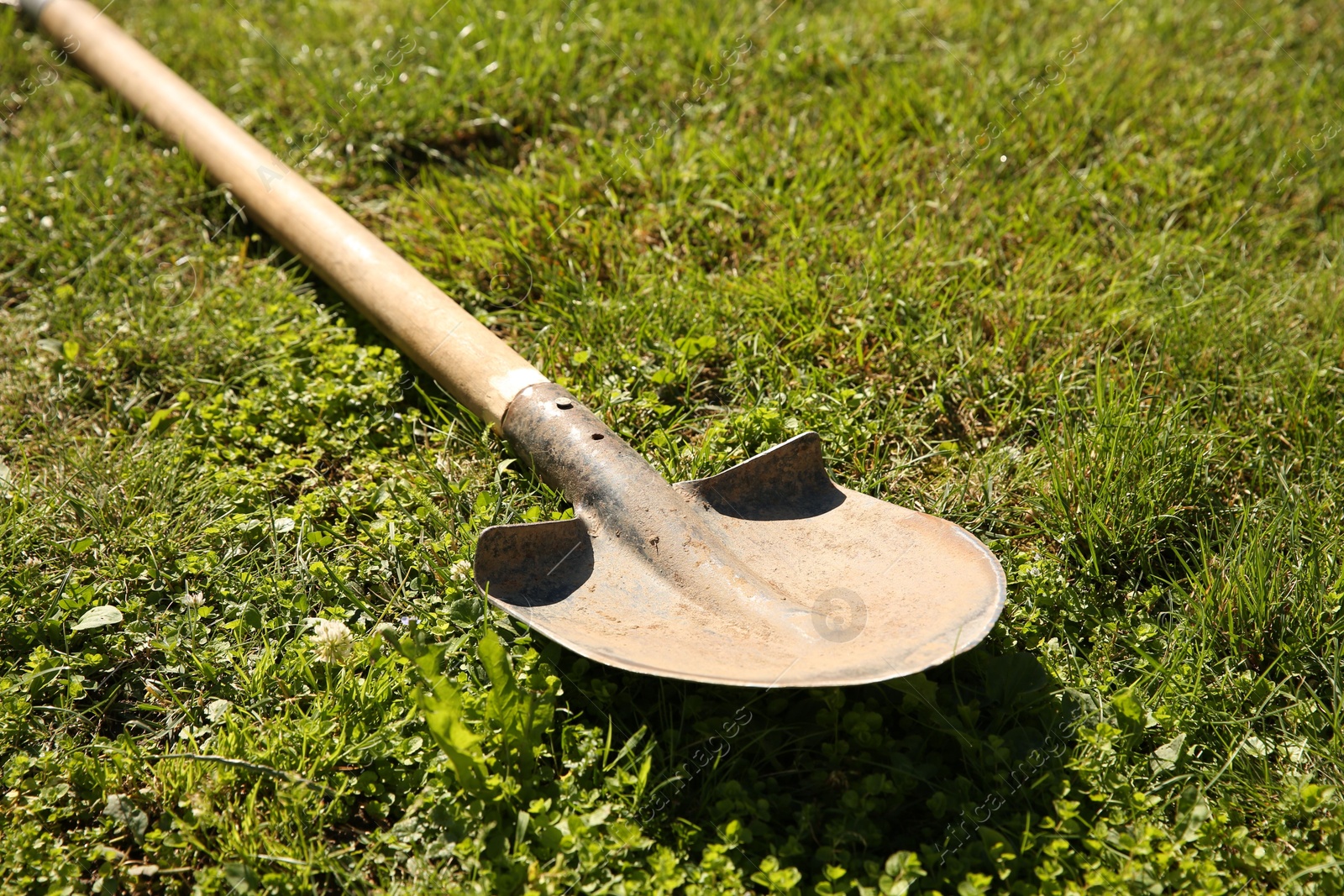 Photo of One rusty shovel on green grass, closeup. Gardening season