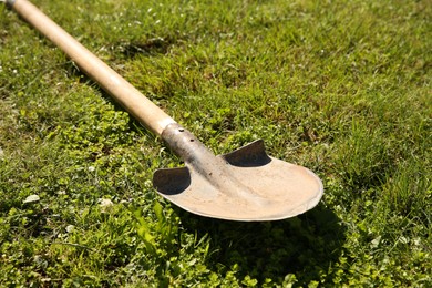 Photo of One rusty shovel on green grass, closeup. Gardening season