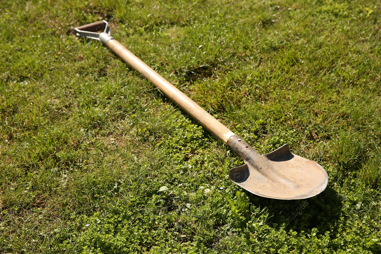 Photo of One rusty shovel on green grass. Gardening season