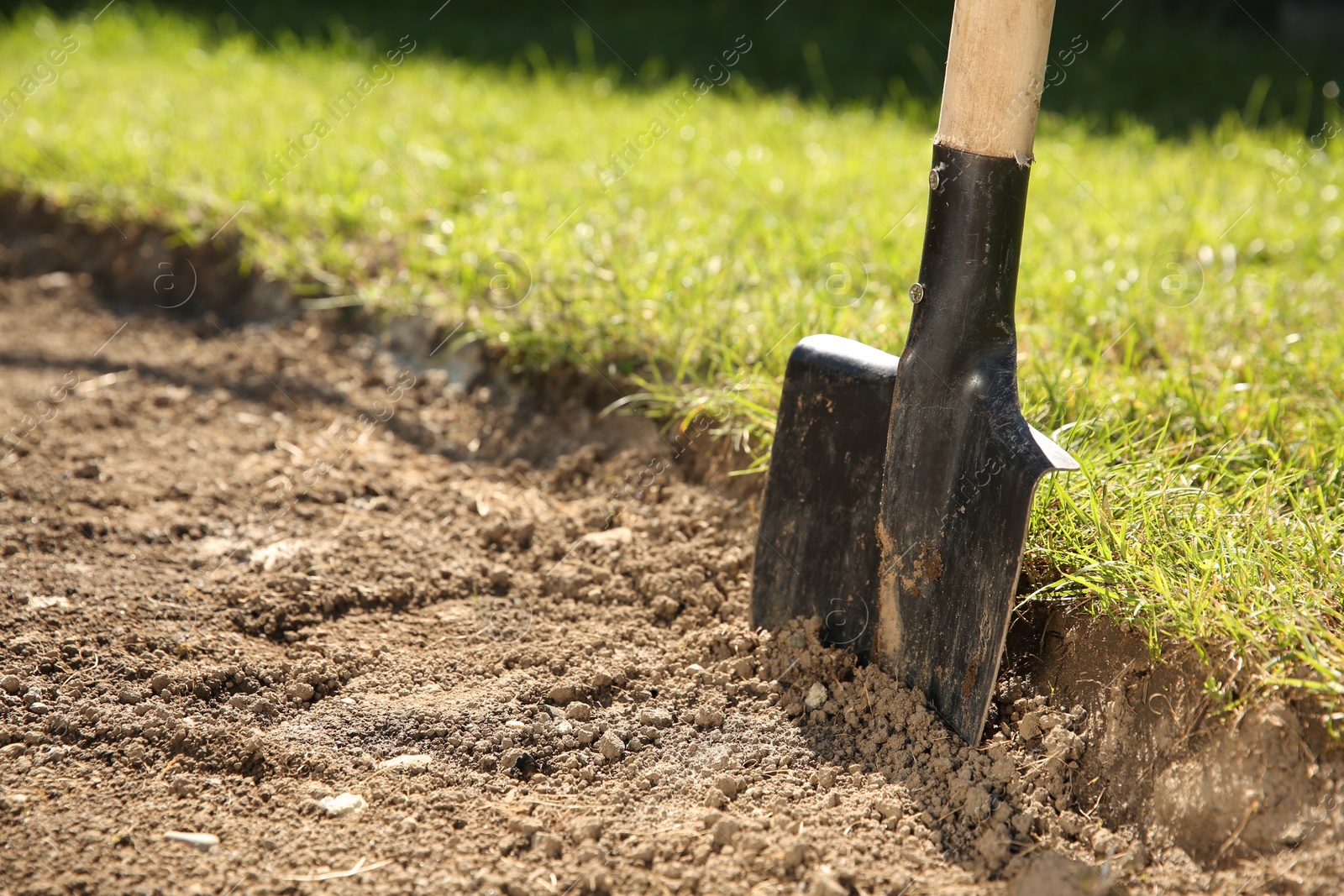 Photo of One shovel sticking out of ground on sunny day, space for text. Gardening season