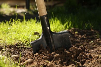 One shovel sticking out of ground on sunny day, closeup. Gardening season